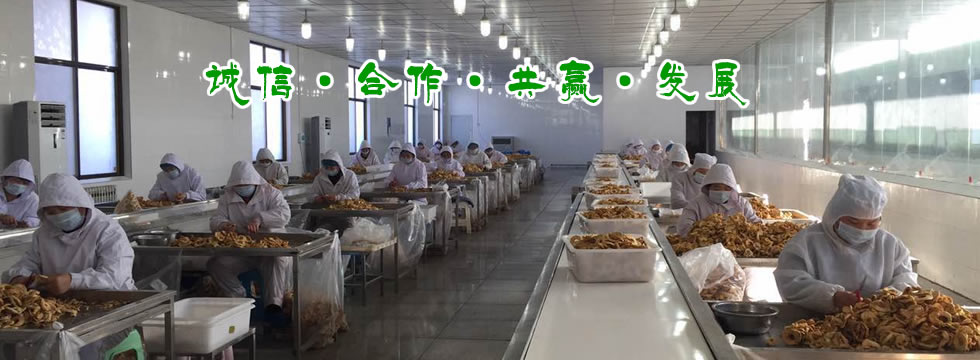 閉式雙曲軸沖床生產(chǎn)(chǎn)